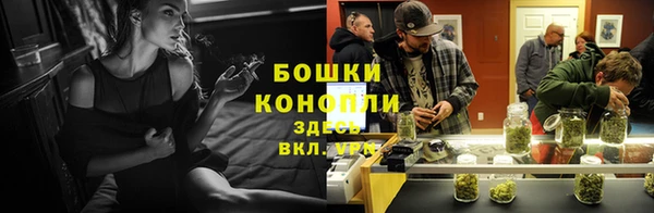 ПСИЛОЦИБИНОВЫЕ ГРИБЫ Армянск