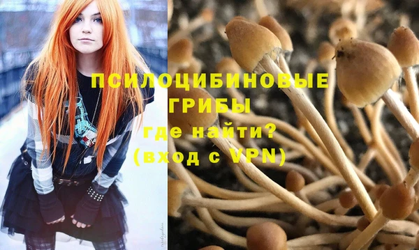 ПСИЛОЦИБИНОВЫЕ ГРИБЫ Армянск