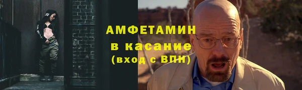 твердый Арсеньев