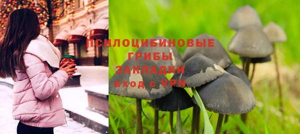 ПСИЛОЦИБИНОВЫЕ ГРИБЫ Армянск